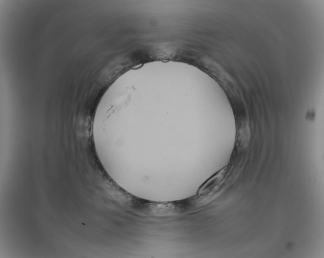X0000096670525200802261455