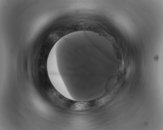 X0000096670526200802261455