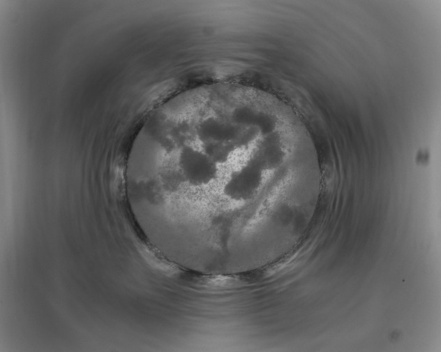 X0000096670527200802261455