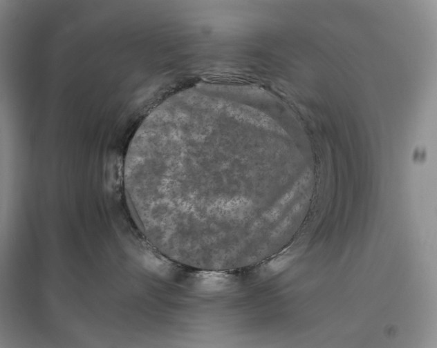 X0000096670528200802261455