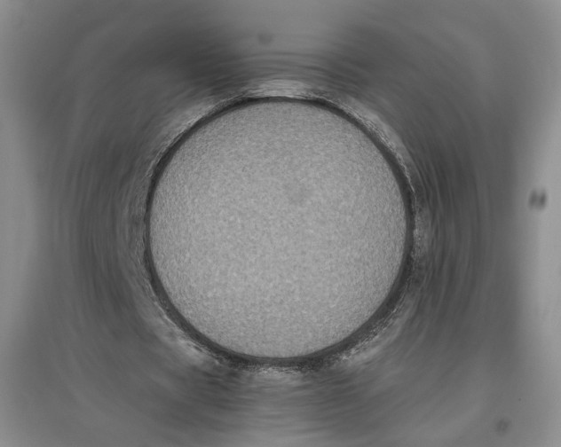 X0000096670529200802261454