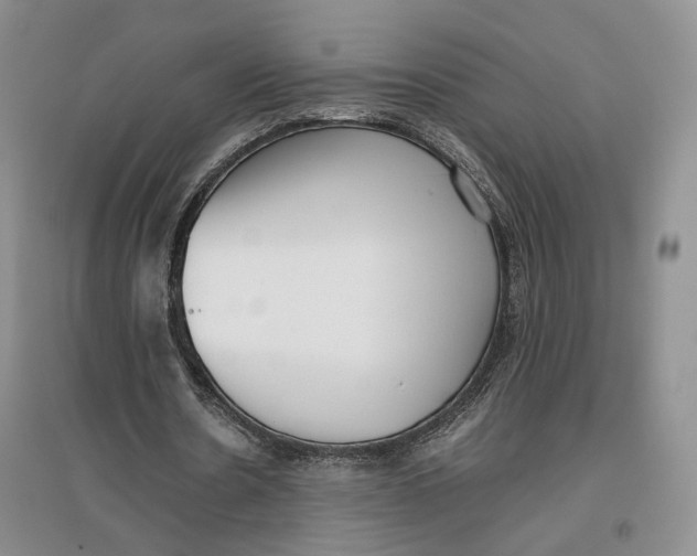 X0000096670530200802261454