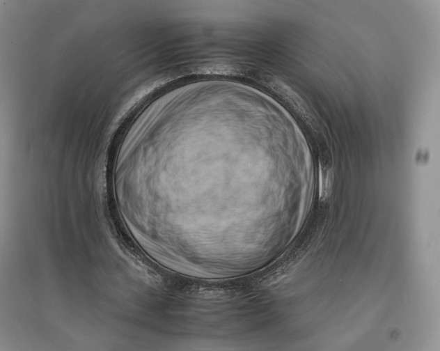 X0000096670531200802261454