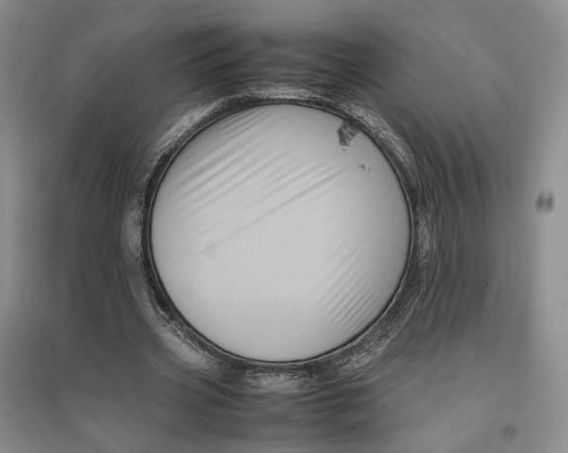 X0000096670533200802261454