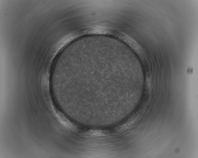 X0000096670534200802261454