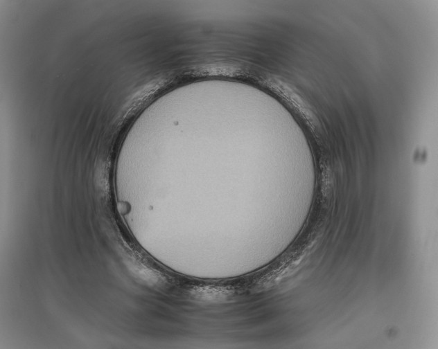 X0000096670537200802261454