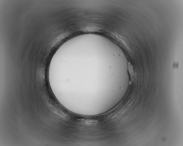 X0000096670539200802261455
