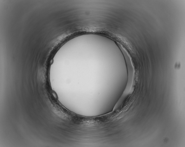 X0000096670540200802261455