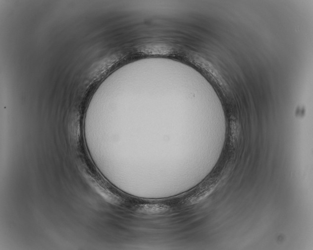X0000096670541200802261455