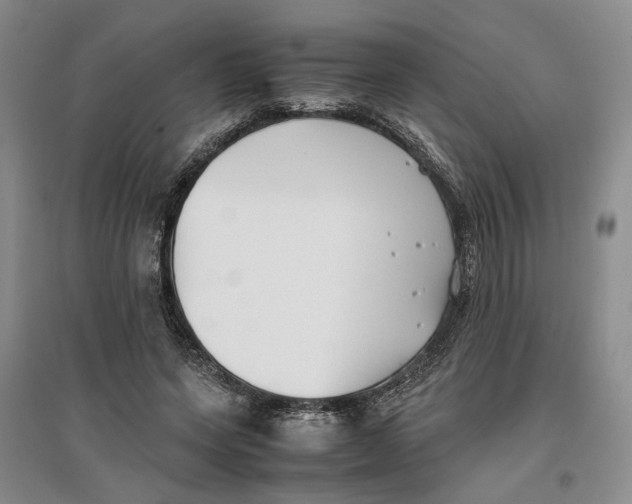 X0000096670543200802261455