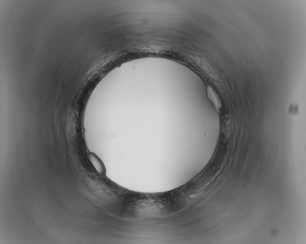 X0000096670544200802261455