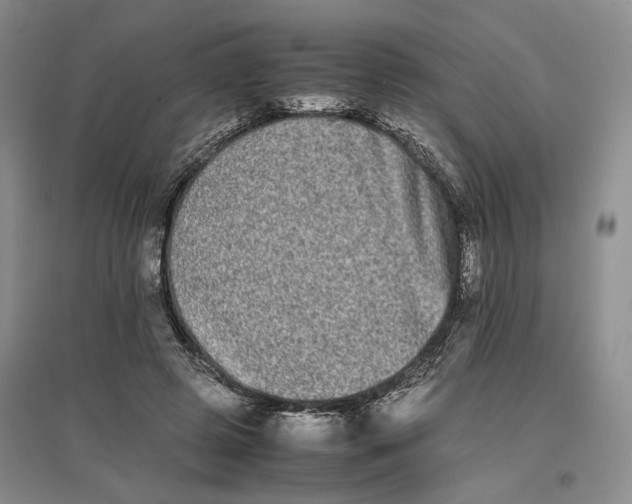 X0000096670545200802261455