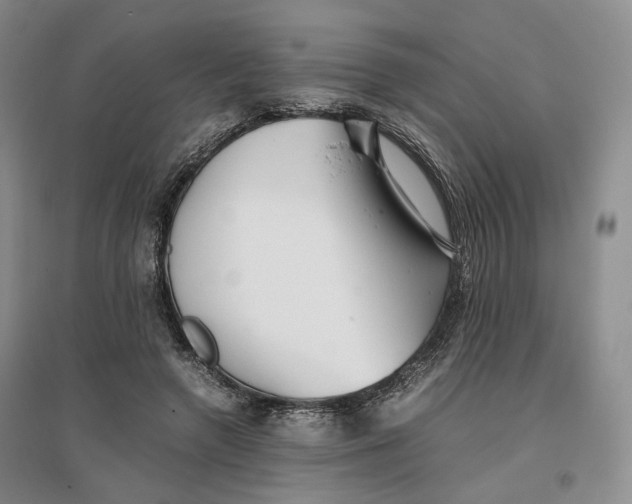 X0000096670546200802261455