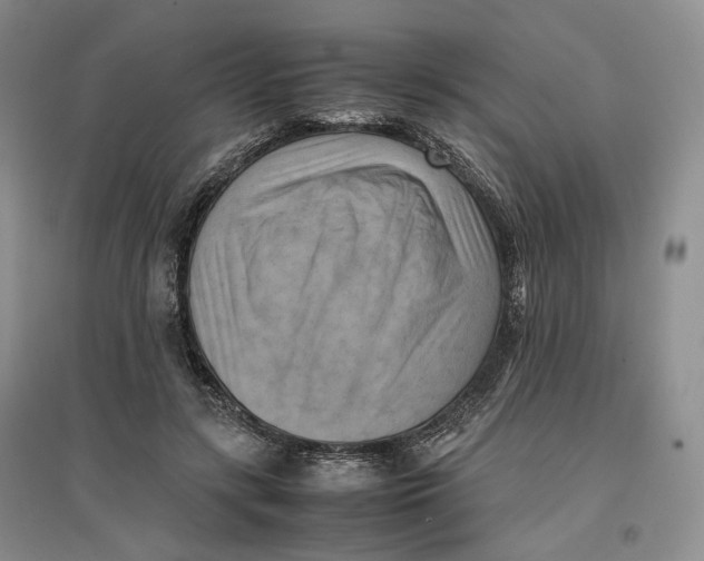 X0000096670547200802261455