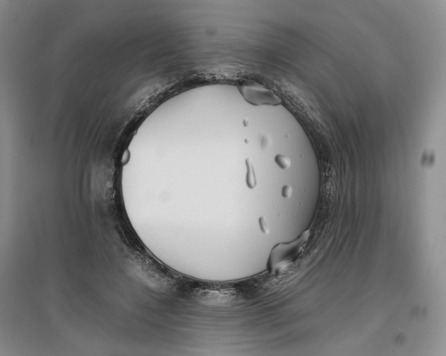 X0000096670548200802261455