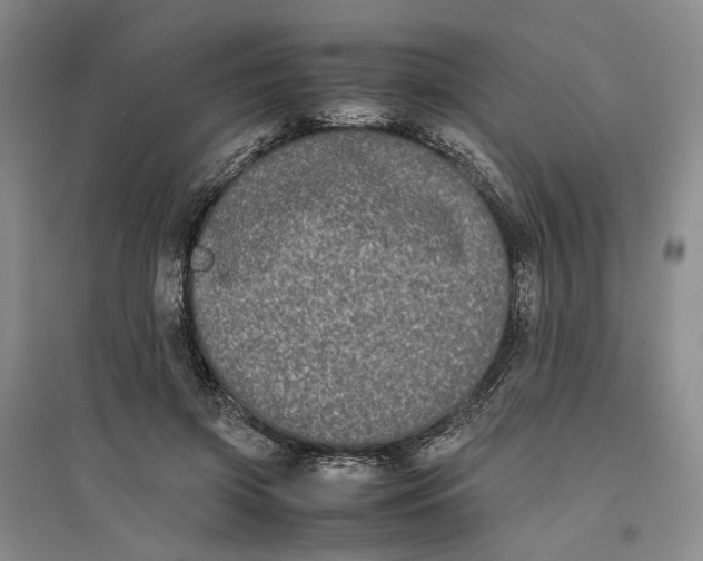 X0000096670549200802261455