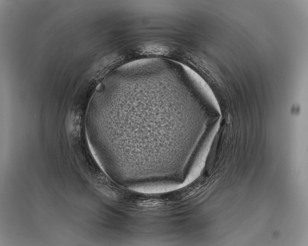 X0000096670551200802261455