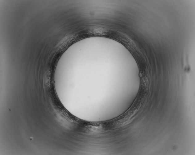 X0000096670552200802261455