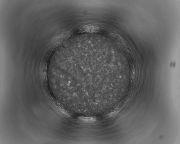 X0000096670553200802261455