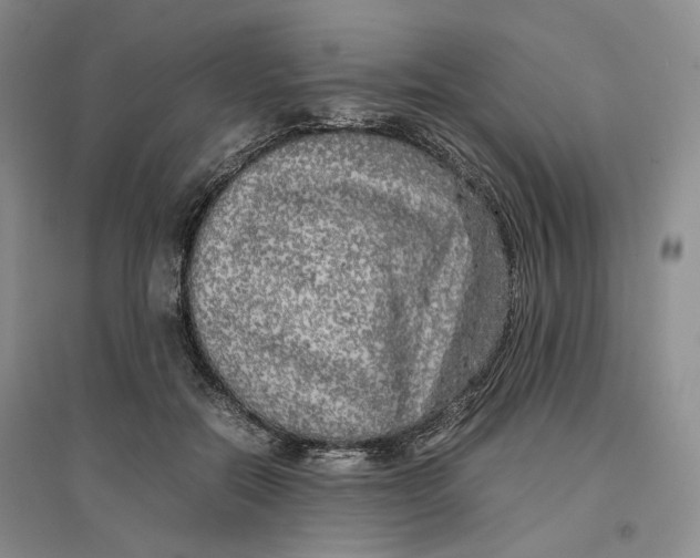 X0000096670554200802261455