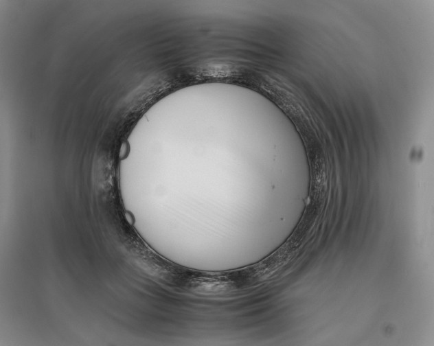 X0000096670555200802261455