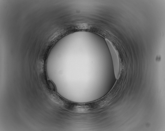 X0000096670556200802261455