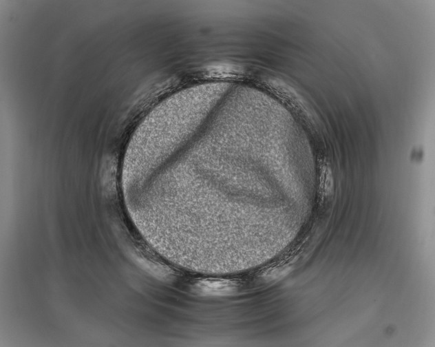 X0000096670557200802261455