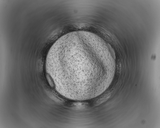 X0000096670558200802261455