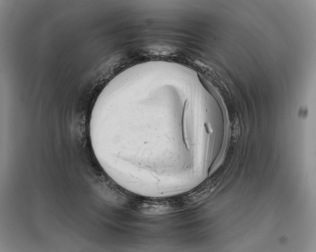 X0000096670559200802261455