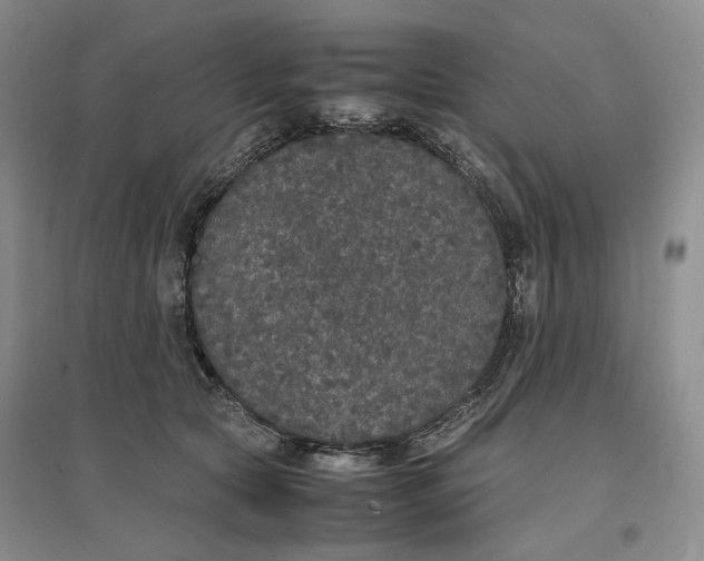 X0000096670561200802261455