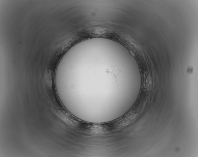 X0000096670562200802261455