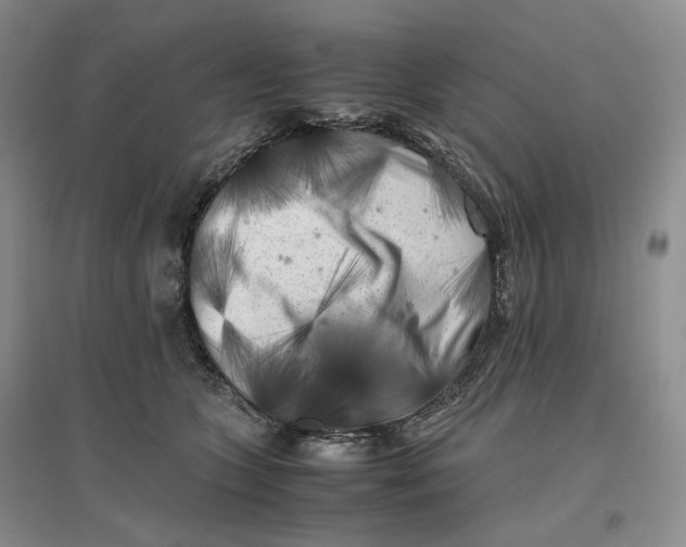 X0000096670563200802261455