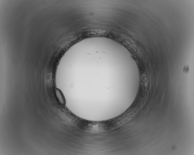 X0000096670564200802261455