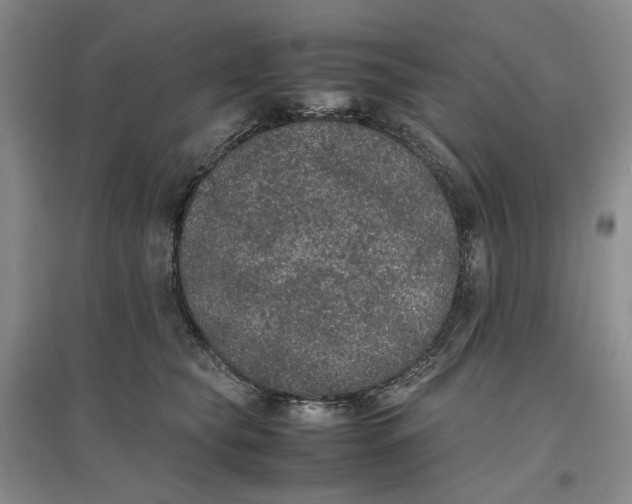 X0000096670565200802261455