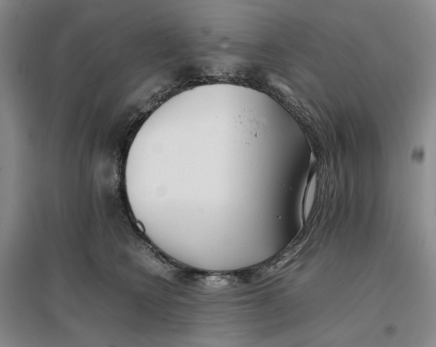 X0000096670566200802261455