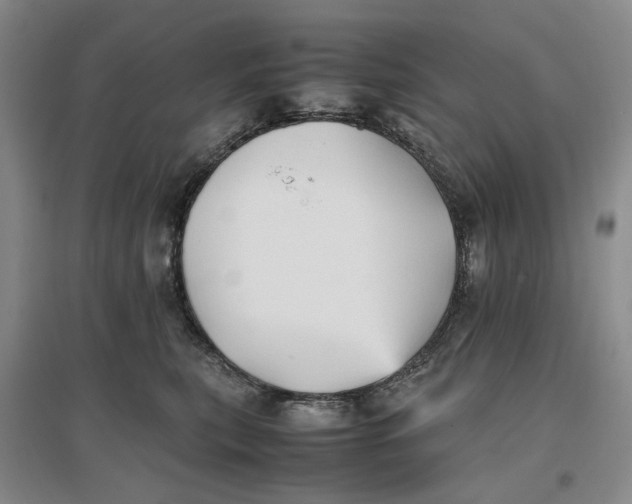 X0000096670567200802261455