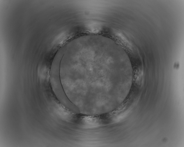 X0000096670568200802261455