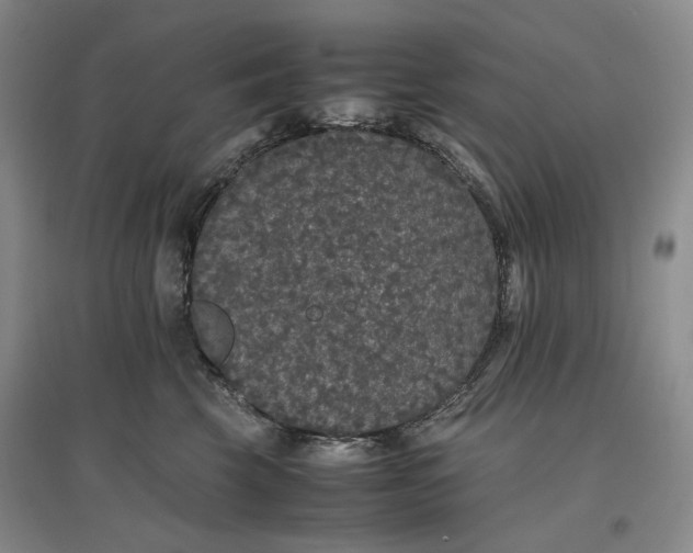 X0000096670569200802261455