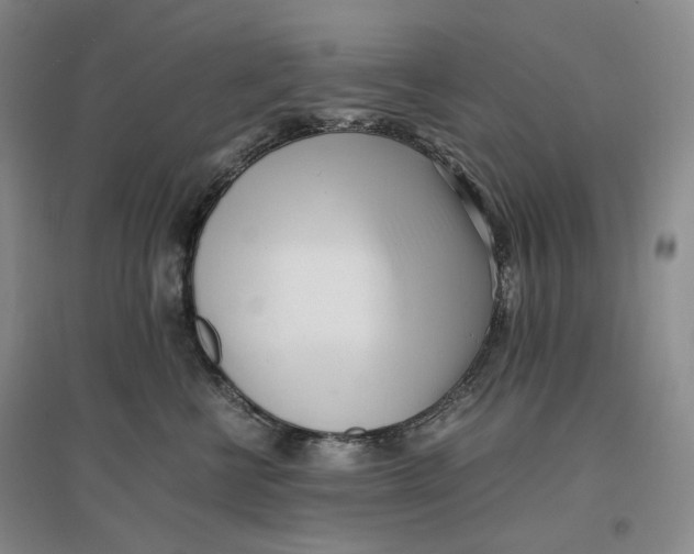 X0000096670570200802261455