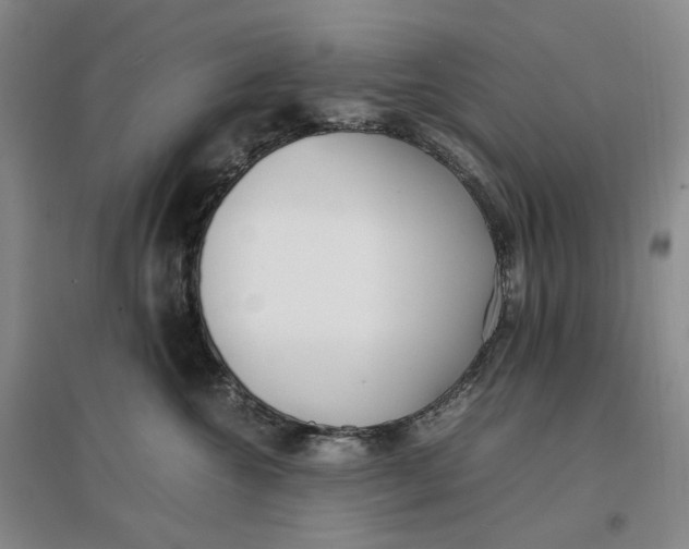 X0000096670572200802261455