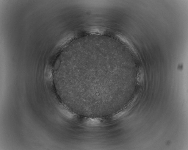X0000096670573200802261455