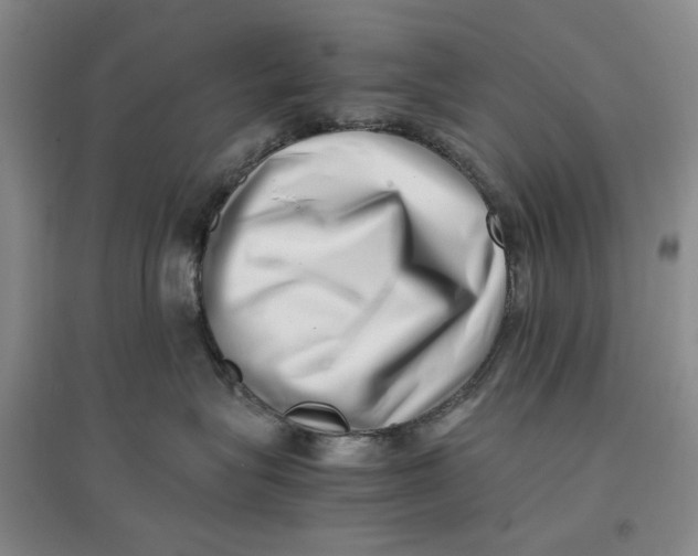 X0000096670575200802261455