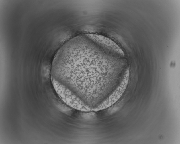X0000096670576200802261455