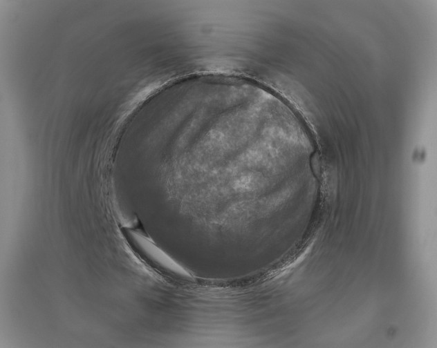 X0000096670577200802261454