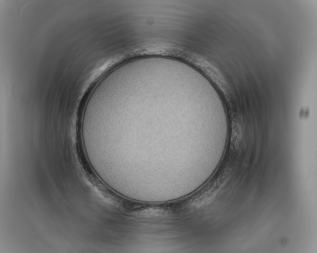 X0000096670578200802261454