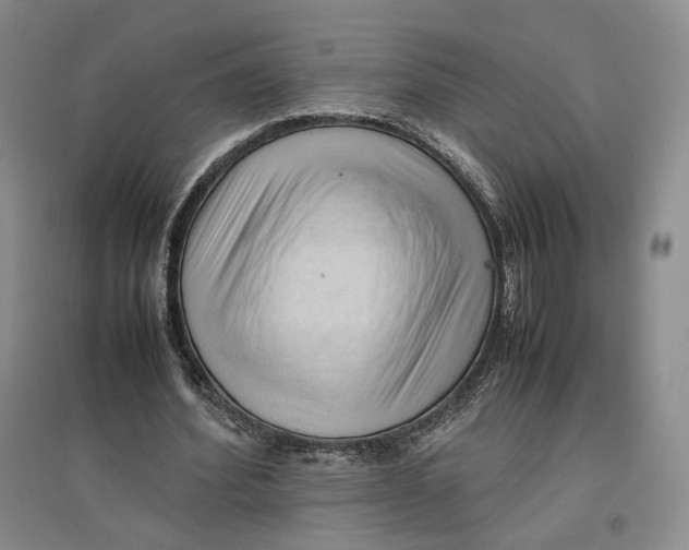 X0000096670580200802261454