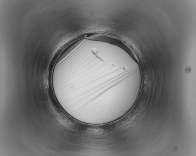 X0000096670582200802261454