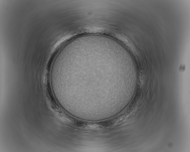 X0000096670583200802261454