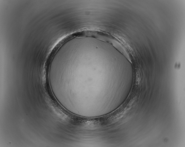 X0000096670584200802261454