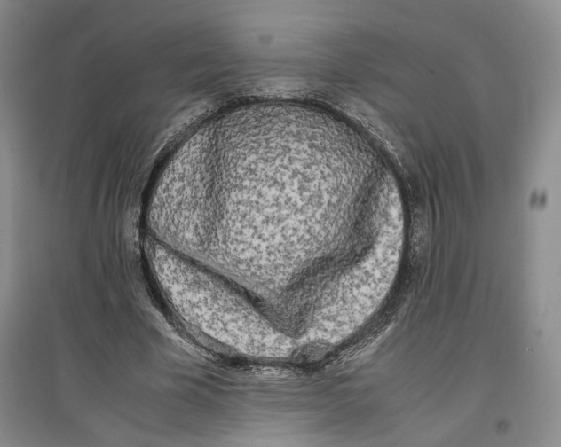 X0000096670585200802261454